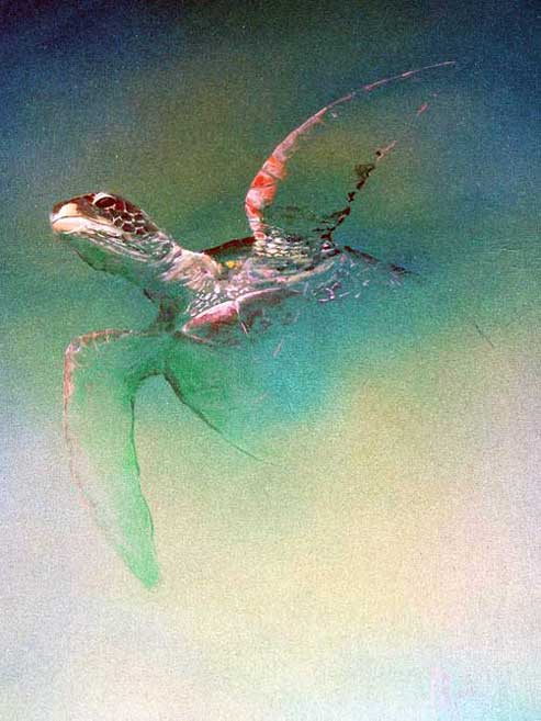 Painting by Bill Myrick - Aumakua